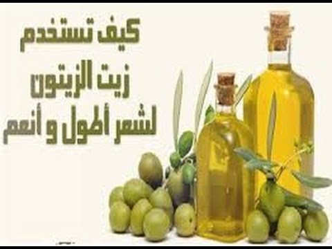 زيت الزيتون للشعر - فوائد زيت الزيتون 354