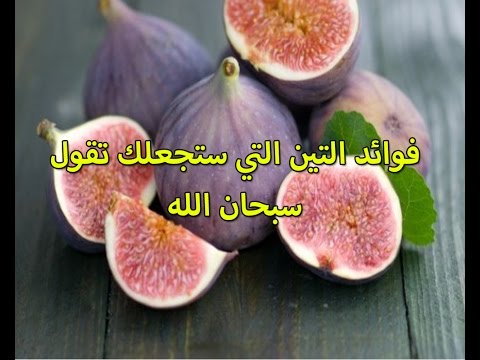 فوائد التين - بعض من فوائد التين 3951 9