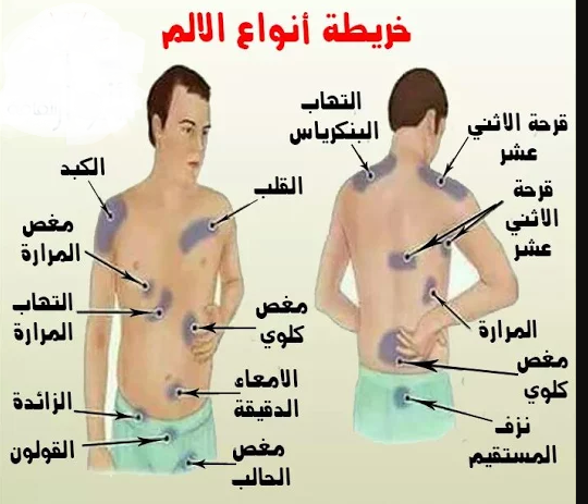 صور جسم الانسان،ما اجمل ابداع الله في خلقه 5756