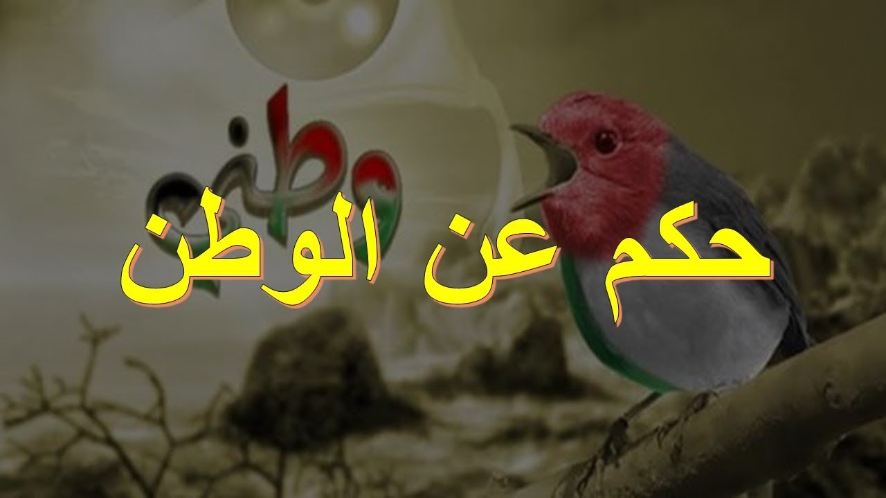 حكم عن الوطن 4463