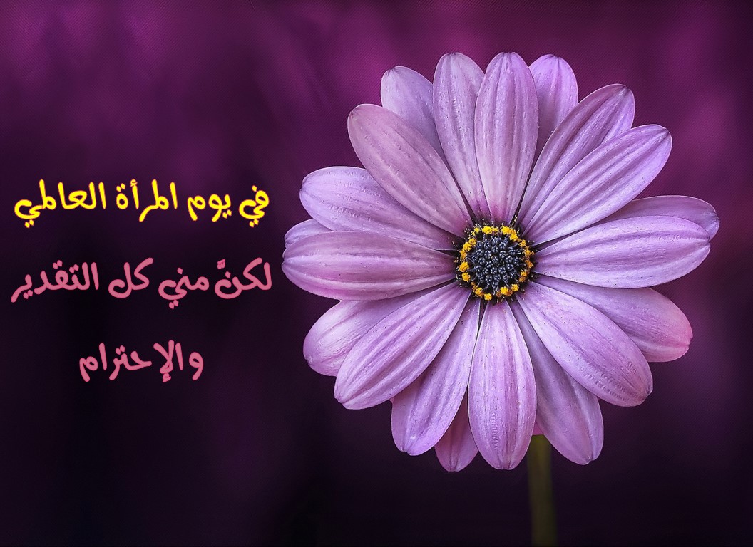 كلمات عن يوم المراة العالمي 4677 5