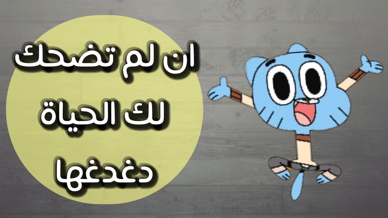 حكم مضحكة , أمثال شعبية مضحكة