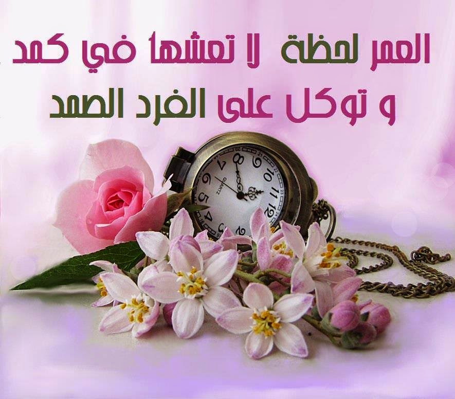 قصيده غزليه روووعة- قصيده غزليه 3399 1