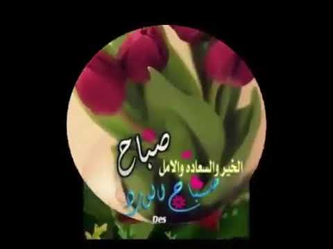 صور للصباح - من اجمل الصور الصباحية 840 10