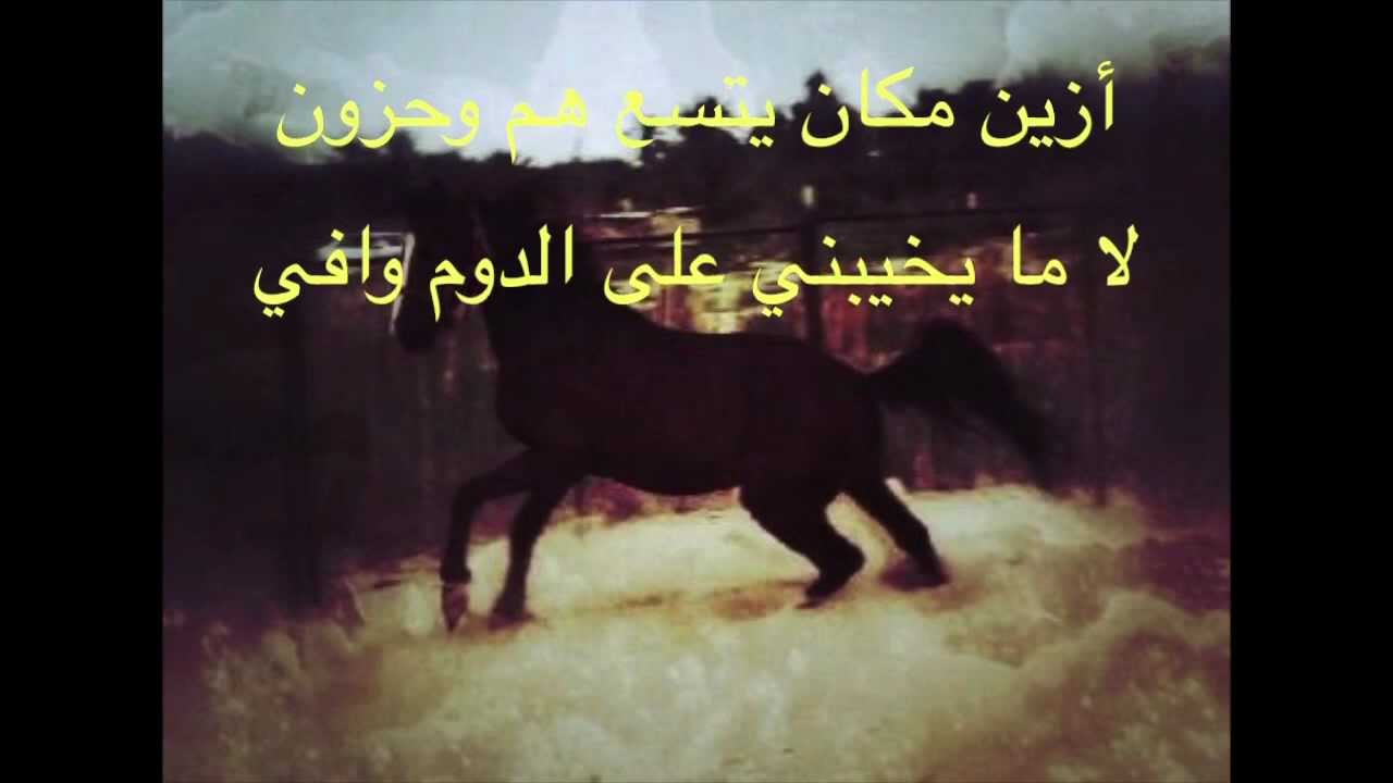 شعر عن الخيل , قصائد روعة عن الخيول