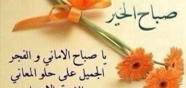 اقتباسات صباحية - كلامات صباحية مميزة 369 15