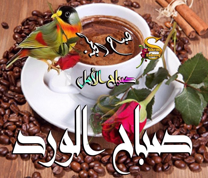 صور صباح النور - اجمل الصور التى تعبر عن الصباح 2925 1