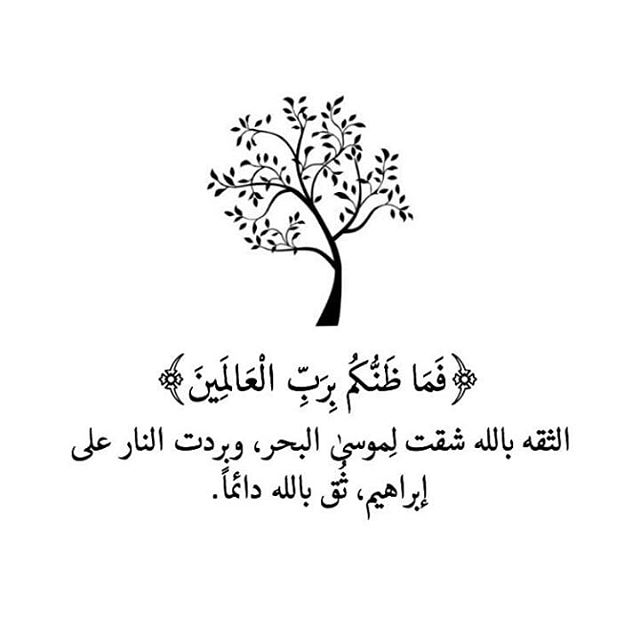 عبارات جميلة جدا ومؤثرة،كلمات و لا اروع من ذلك 5939 9