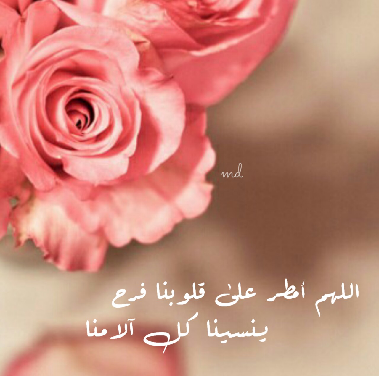 صور عرض واتس 4570 1