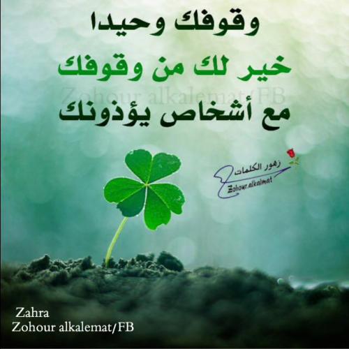 زهور الكلمات - اروع الكلمات واعذبها 5266 6