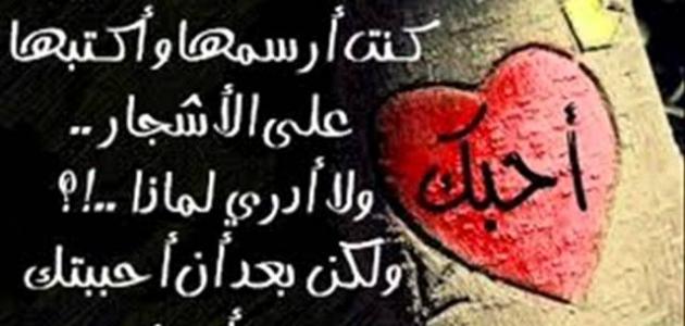 شعر حب قصير - اجمل اشعار الحب 3857 2