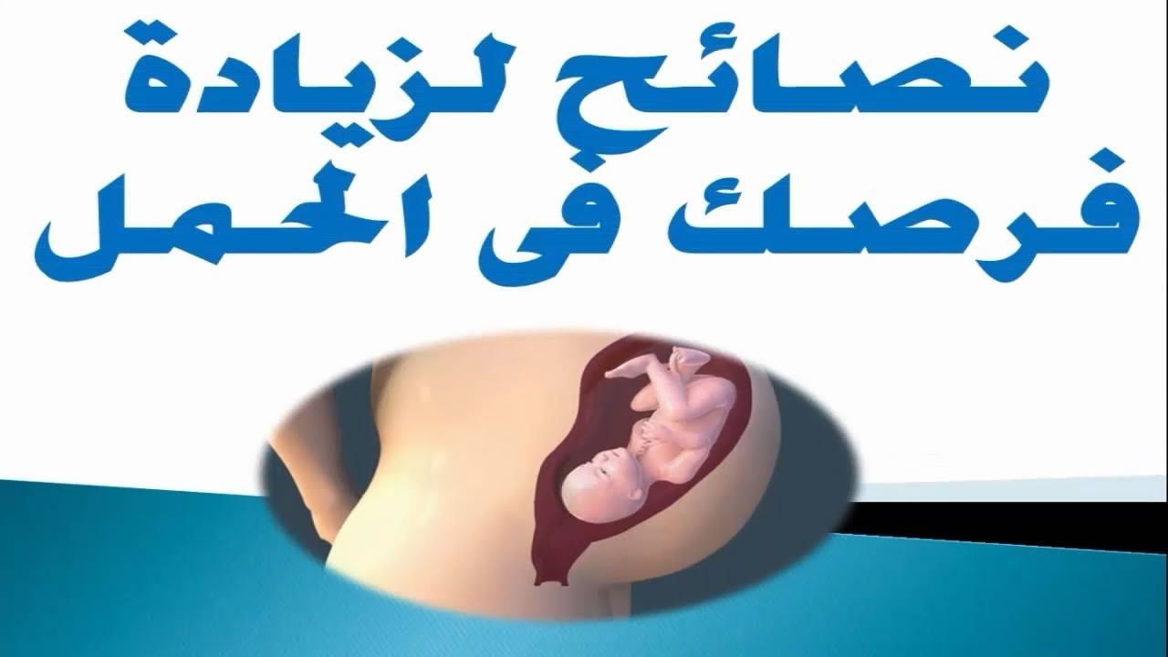 اشياء تساعد على الحمل - كيف تزيد من فرص الحمل 4894 1