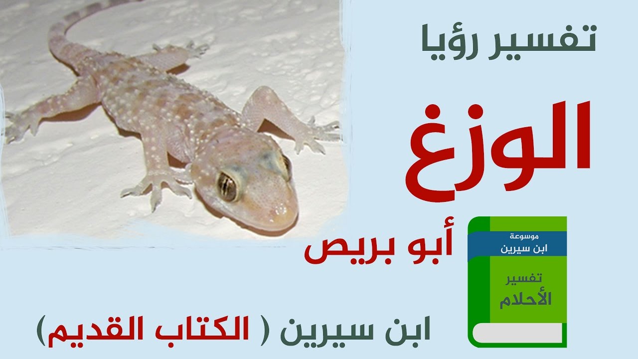 تفسير حلم الوزغ , ماهو تفسير الحلم بالوزغ ( البرص )