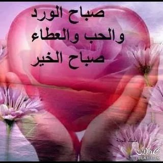 كلمات صباح الخير - اروع كلمات الصباح 2460 72