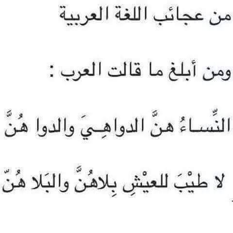 بيتين شعر مدح قويه - كلمات جميلة للمدح 12467 6