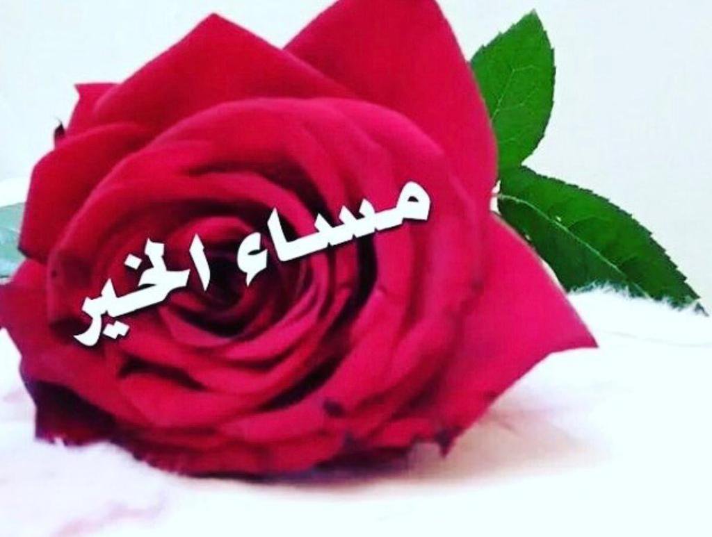 صور مساء الخير - اجمل صور المساء 3535 7