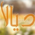6447 3 معنى اسم ديالا - اسماء بنات مميزه محمد الجوهري