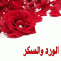 4636 5 صورصباح الخير متحركة Mira