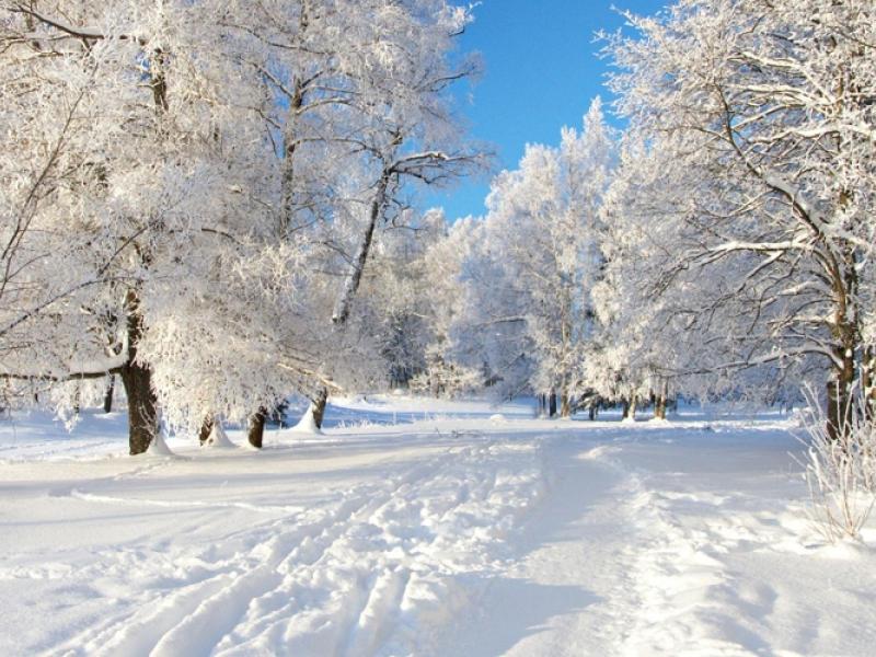 3584 4 صور فصل الشتاء جميلة- صور فصل الشتاء جواهر