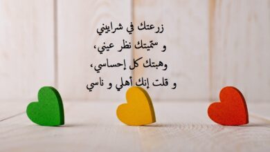 1663 4 احلى كلام للحبيب- اجمل كلمات عن الحب محمد الجوهري